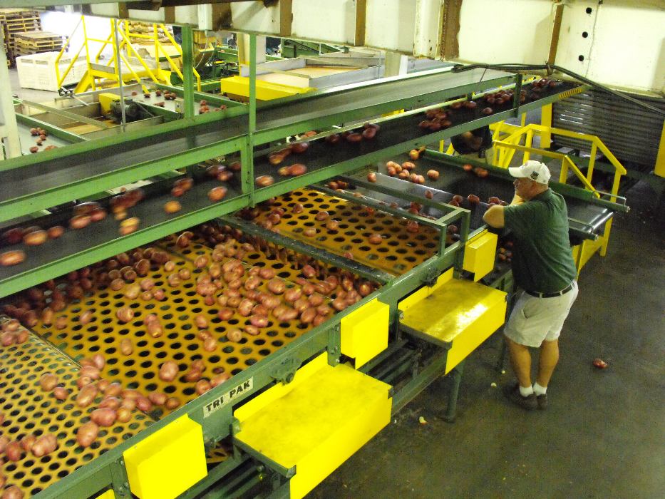 Belt sizer unit